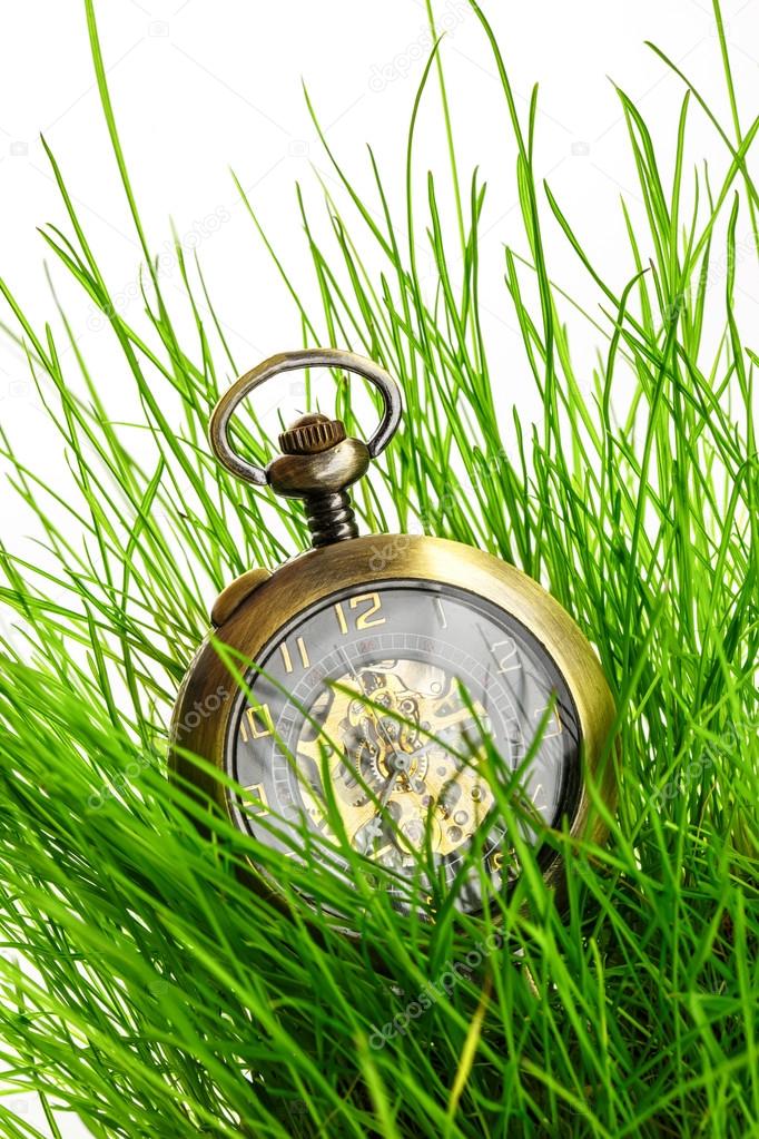 Vintage pocket watch in green grass