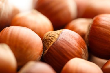 Taze kahverengi fındık