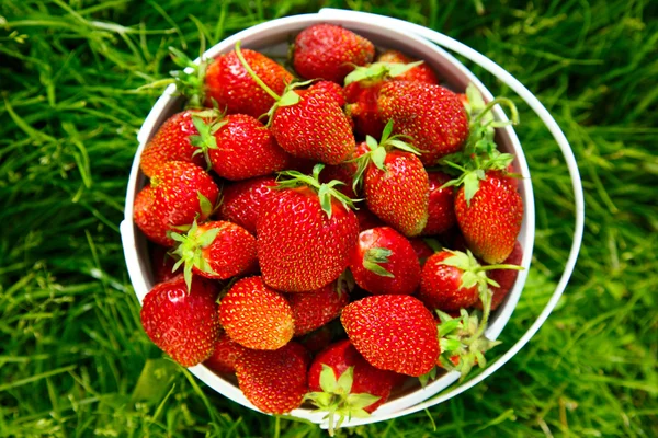 Ripe strawberries in basket — Stock Photo, Image