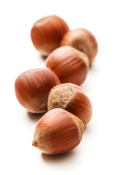 Fresh brown hazelnuts — Stock Photo, Image