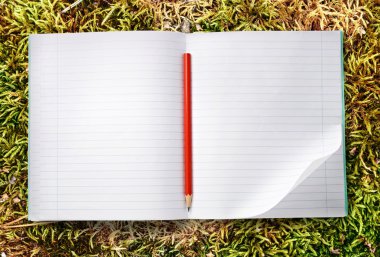 Kırmızı kalemle Not defterini açın