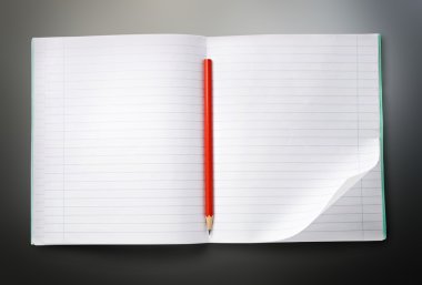 Kırmızı kalemle Not defterini açın