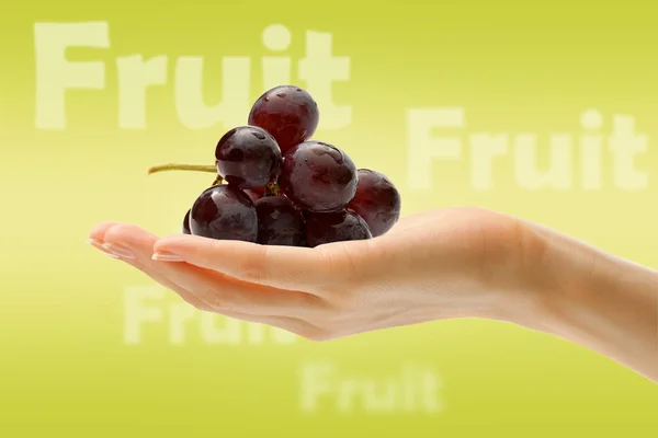 Female hand with black grape — Stock Photo, Image