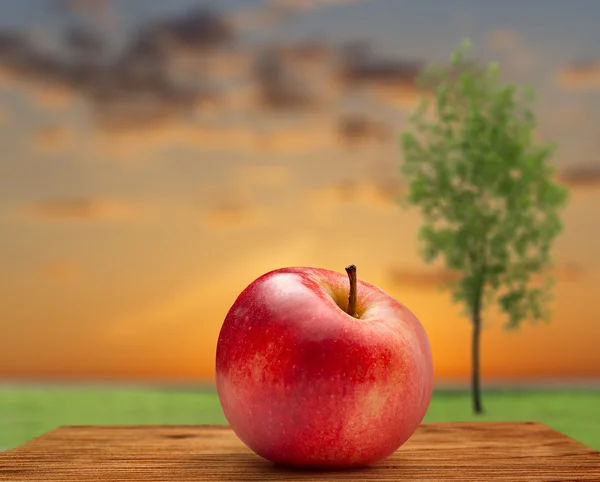 Red apple on outdoor — Stock Photo, Image