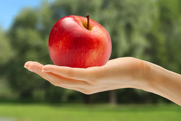 Mano femminile con mela rossa — Foto Stock