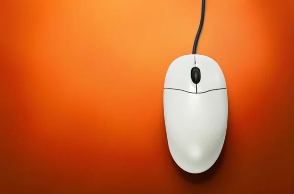 Computer mouse — Stock Photo, Image