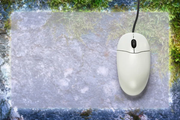 空白の背景をコンピューターのマウス — ストック写真