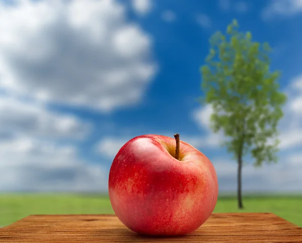 Rött äpple på utomhus — Stockfoto