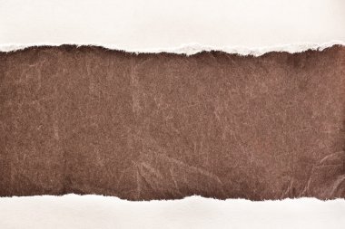 yırtık kağıt parçaları