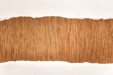 yırtık kağıt parçaları