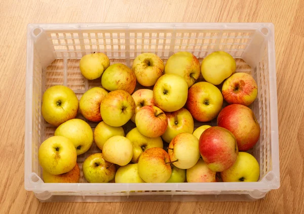 Fresh apples in plastic container — Stock Photo, Image