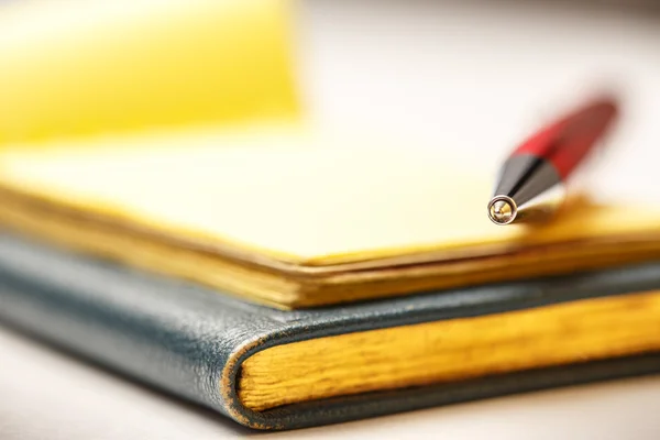 Papierblöcke mit Stift — Stockfoto