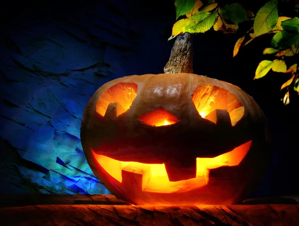 Funny Halloween citrouille — Photo