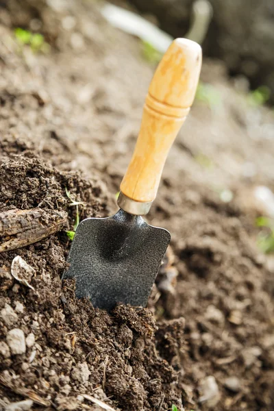Почва с небольшой лопатой — стоковое фото