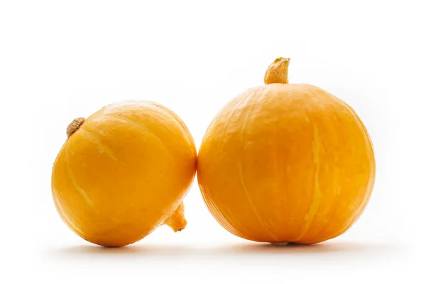 Two fresh pumpkins — Stock Photo, Image