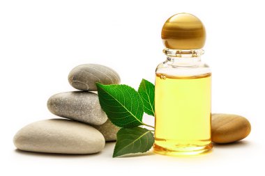 Taş, yaprak ve şampuan