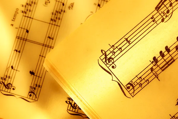 Notenblätter in gelb — Stockfoto