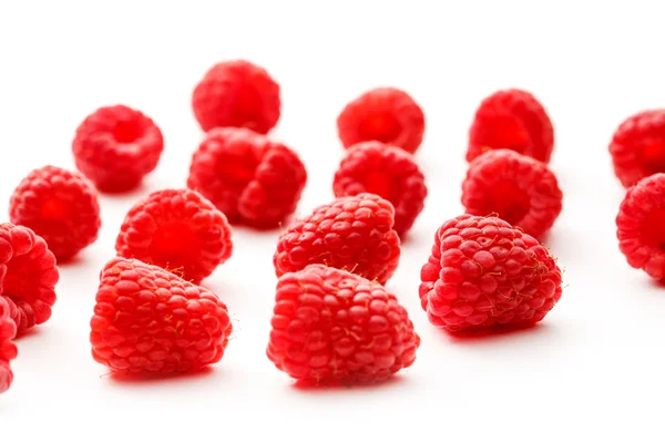 Ripe Fresh raspberry — Stock Photo, Image