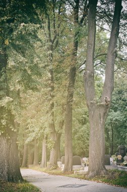 Mezarı üzerinde yanan renkli mumlar.