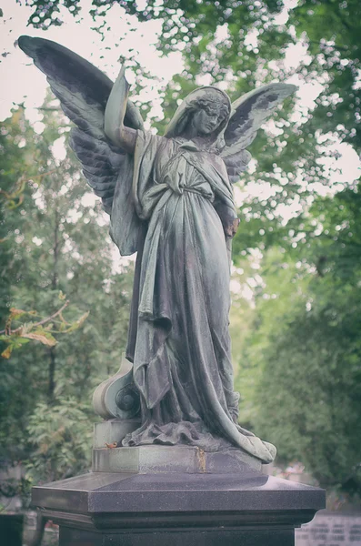 Old beautiful angel. — Stock Photo, Image