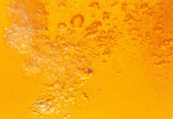 Bira. — Stok fotoğraf