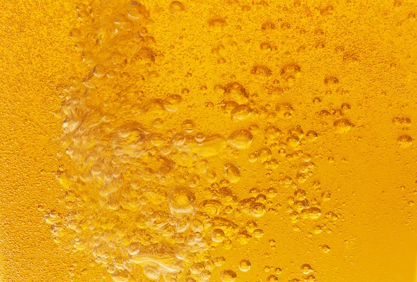 Birra — Foto Stock