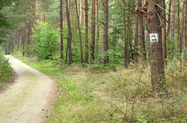 Designation of forest trails — Stock Photo, Image