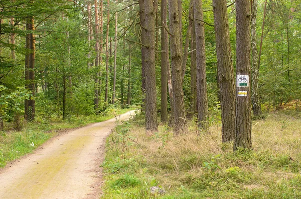 Designation of forest trails — Stock Photo, Image