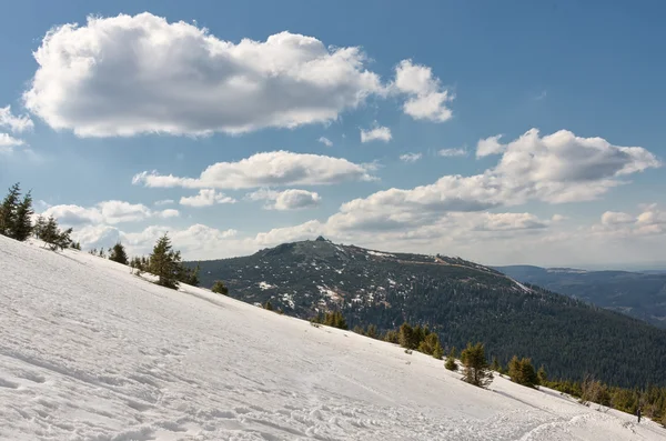 Χειμώνα στο Giant Mountains — Φωτογραφία Αρχείου