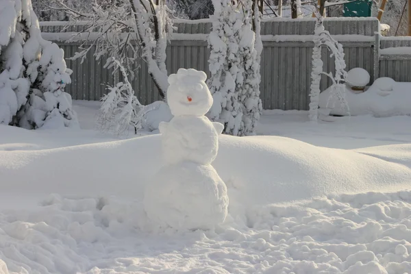 Muñeco de nieve grande con una nariz de zanahoria . — Foto de Stock