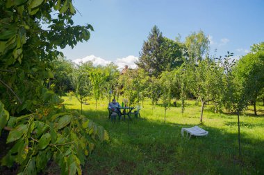 Bir bahçe ve bir kuş korkuluğu.