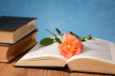 açık bir kitap ve çiçekler
