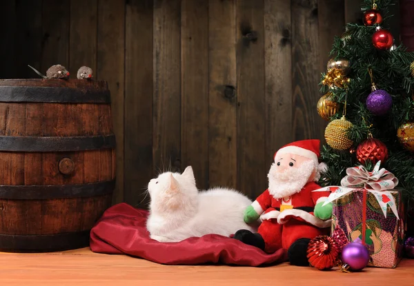 Белая кошка играет с Санта-Клаусом — стоковое фото
