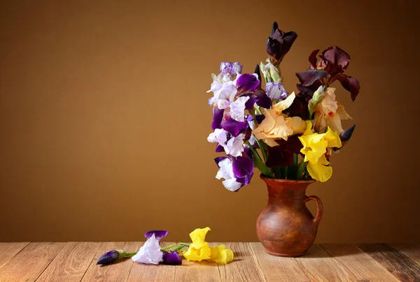 Iris in un vaso di ceramica — Foto Stock