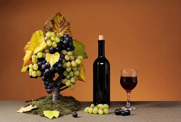 Fresh grapes and a bottle of red vine — Stock Photo, Image