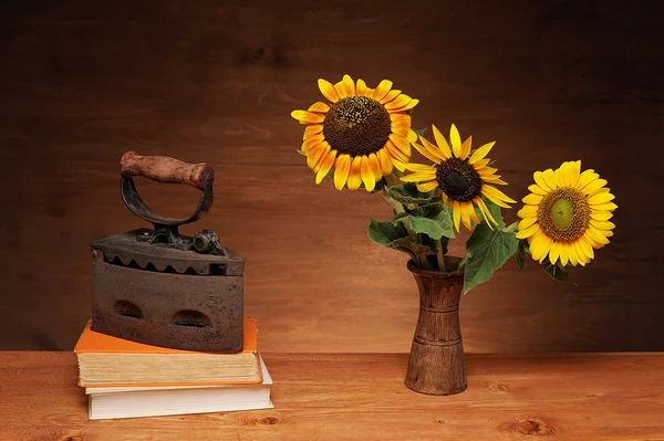 Sunflower and books with iron — Stock Photo, Image