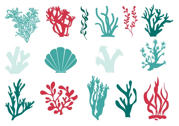 Ensemble corail et algues marines sous-marines. — Image vectorielle