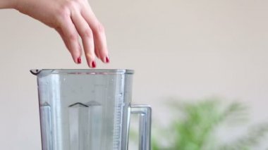 El Koyma Meyveleri Blender 'a