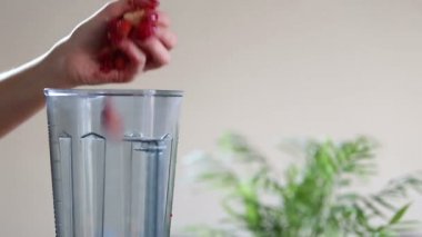 meyve blender içine koyarak kadın el