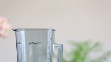 El Koyma Meyveleri Blender 'a