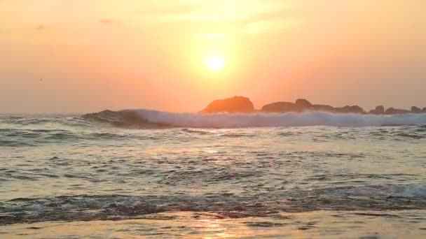 Gün batımında Hikkaduwa okyanus görünümünde — Stok video