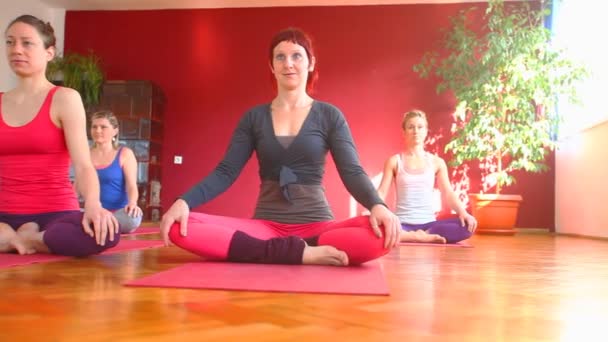 Mujeres haciendo yoga en esteras — Vídeo de stock