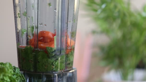 Mengen van de groenten in de blender — Stockvideo