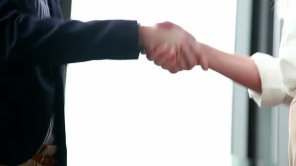 Businesswomen shaking hands — Stock Video