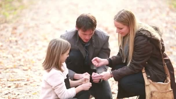 Rodina hraní her v parku — Stock video