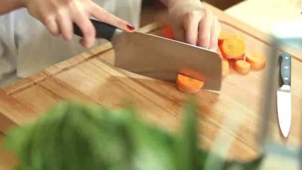 Woman hands cutting carrot — Stock Video