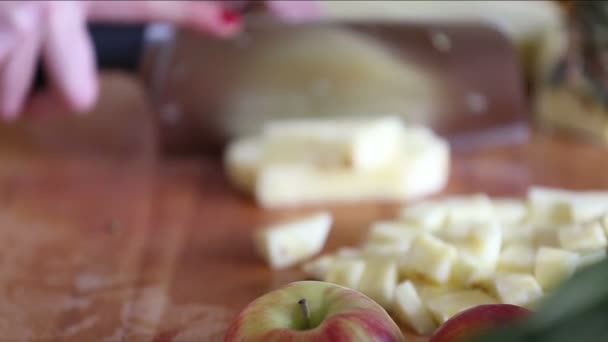 Manos de mujer corte de piña — Vídeos de Stock