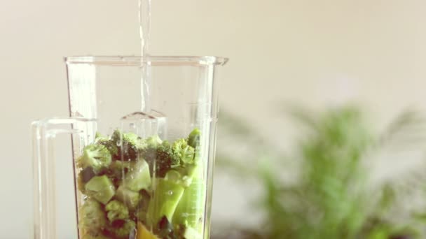 Pouring water in blender with fruits — Αρχείο Βίντεο