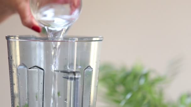 Vrouw stromende water in de blender — Stockvideo