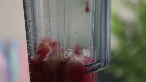 Mistura de frutas no liquidificador — Vídeo de Stock